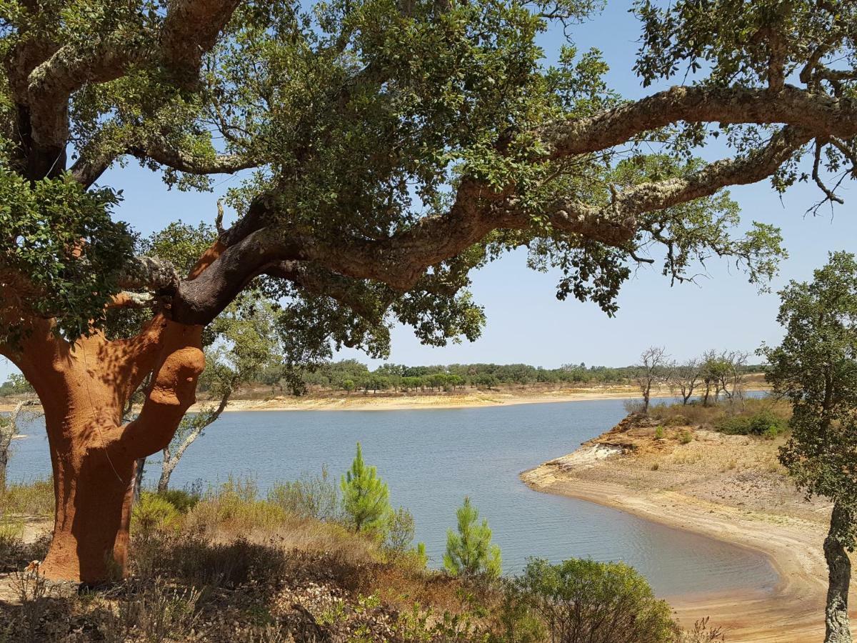 Monte Do Pinheirinho Βίλα São Domingos Εξωτερικό φωτογραφία